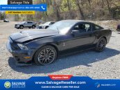 New 2011 Ford Mustang Shelby GT500 Coupe