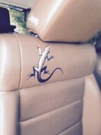 Thumbnail Photo 1 for 2011 Jeep Wrangler 4WD Sport for Sale by Owner
