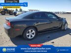 Thumbnail Photo 4 for New 2012 Dodge Charger SE