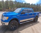 Thumbnail Photo 2 for 2012 Ford F150 4x4 SuperCab