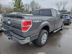 Thumbnail Photo 6 for 2012 Ford F150