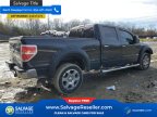 Thumbnail Photo 4 for New 2012 Ford F150