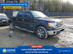 Thumbnail Photo 5 for New 2012 Ford F150