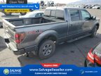 Thumbnail Photo 4 for New 2012 Ford F150