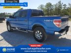 Thumbnail Photo 3 for New 2012 Ford F150