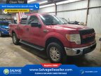 Thumbnail Photo 5 for New 2012 Ford F150