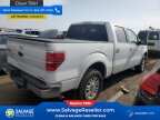 Thumbnail Photo 4 for New 2012 Ford F150