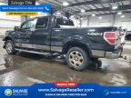 Thumbnail Photo 3 for New 2012 Ford F150