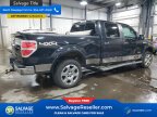 Thumbnail Photo 4 for New 2012 Ford F150