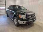 Thumbnail Photo 2 for 2012 Ford F150