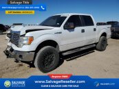 New 2012 Ford F150