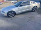 Thumbnail Photo 6 for 2012 Ford Mustang