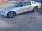 Thumbnail Photo 2 for 2012 Ford Mustang