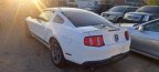 Thumbnail Photo 1 for 2012 Ford Mustang