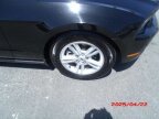 Thumbnail Photo 6 for 2012 Ford Mustang