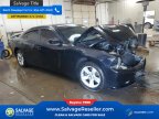 Thumbnail Photo 5 for New 2013 Dodge Charger SE