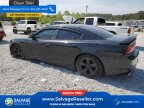 Thumbnail Photo 3 for New 2013 Dodge Charger SE