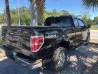 Thumbnail Photo 5 for 2013 Ford F150