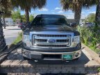Thumbnail Photo 2 for 2013 Ford F150