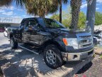 Thumbnail Photo 3 for 2013 Ford F150