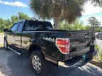 Thumbnail Photo 4 for 2013 Ford F150