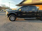 Thumbnail Photo 1 for 2013 Ford F150