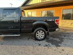 Thumbnail Photo 3 for 2013 Ford F150