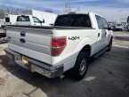 Thumbnail Photo 5 for 2013 Ford F150