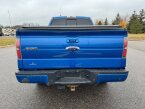 Thumbnail Photo 5 for 2013 Ford F150