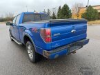 Thumbnail Photo 6 for 2013 Ford F150
