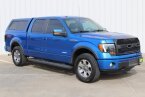 Thumbnail Photo 3 for 2013 Ford F150