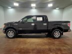 Thumbnail Photo 5 for 2013 Ford F150