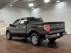 Thumbnail Photo 4 for 2013 Ford F150