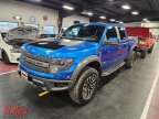 Thumbnail Photo 1 for 2013 Ford F150