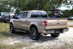 Thumbnail Photo 4 for 2013 Ford F150