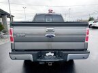 Thumbnail Photo 4 for 2013 Ford F150