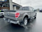 Thumbnail Photo 3 for 2013 Ford F150
