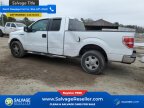 Thumbnail Photo 3 for New 2013 Ford F150