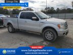 Thumbnail Photo 5 for New 2013 Ford F150