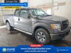 Thumbnail Photo 5 for New 2013 Ford F150
