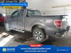 Thumbnail Photo 3 for New 2013 Ford F150