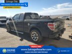 Thumbnail Photo 3 for New 2013 Ford F150