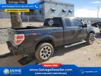 Thumbnail Photo 4 for New 2013 Ford F150