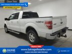 Thumbnail Photo 4 for New 2013 Ford F150