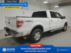 Thumbnail Photo 5 for New 2013 Ford F150