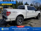 Thumbnail Photo 4 for New 2013 Ford F150