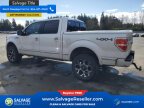 Thumbnail Photo 3 for New 2013 Ford F150
