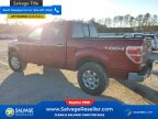 Thumbnail Photo 3 for New 2013 Ford F150