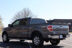 Thumbnail Photo 6 for 2013 Ford F150