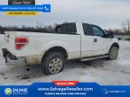 Thumbnail Photo 4 for New 2013 Ford F150